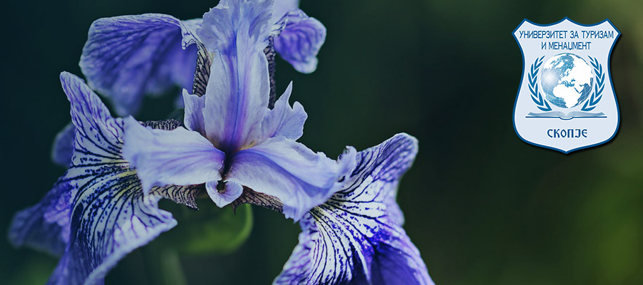 NOTICE FOR UTMS PROMOTION ON THE FLOWER DAY